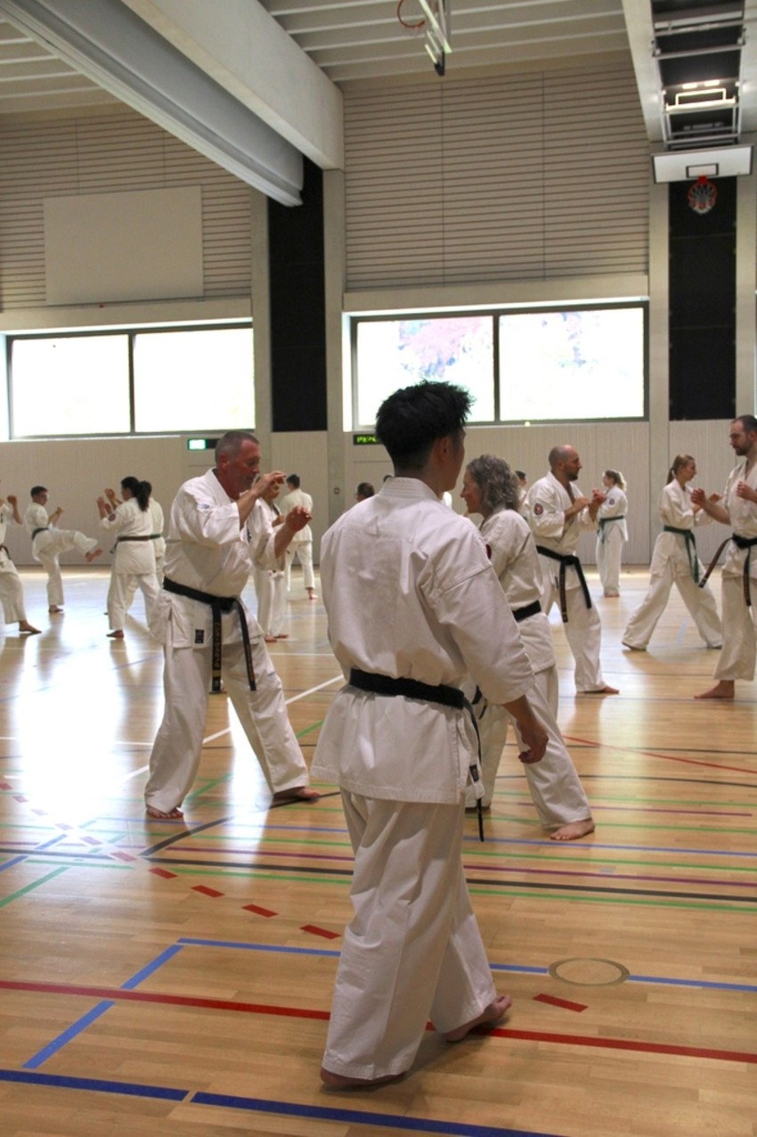 img_3716-81ddc4e61717980f8a91e49435ce5572