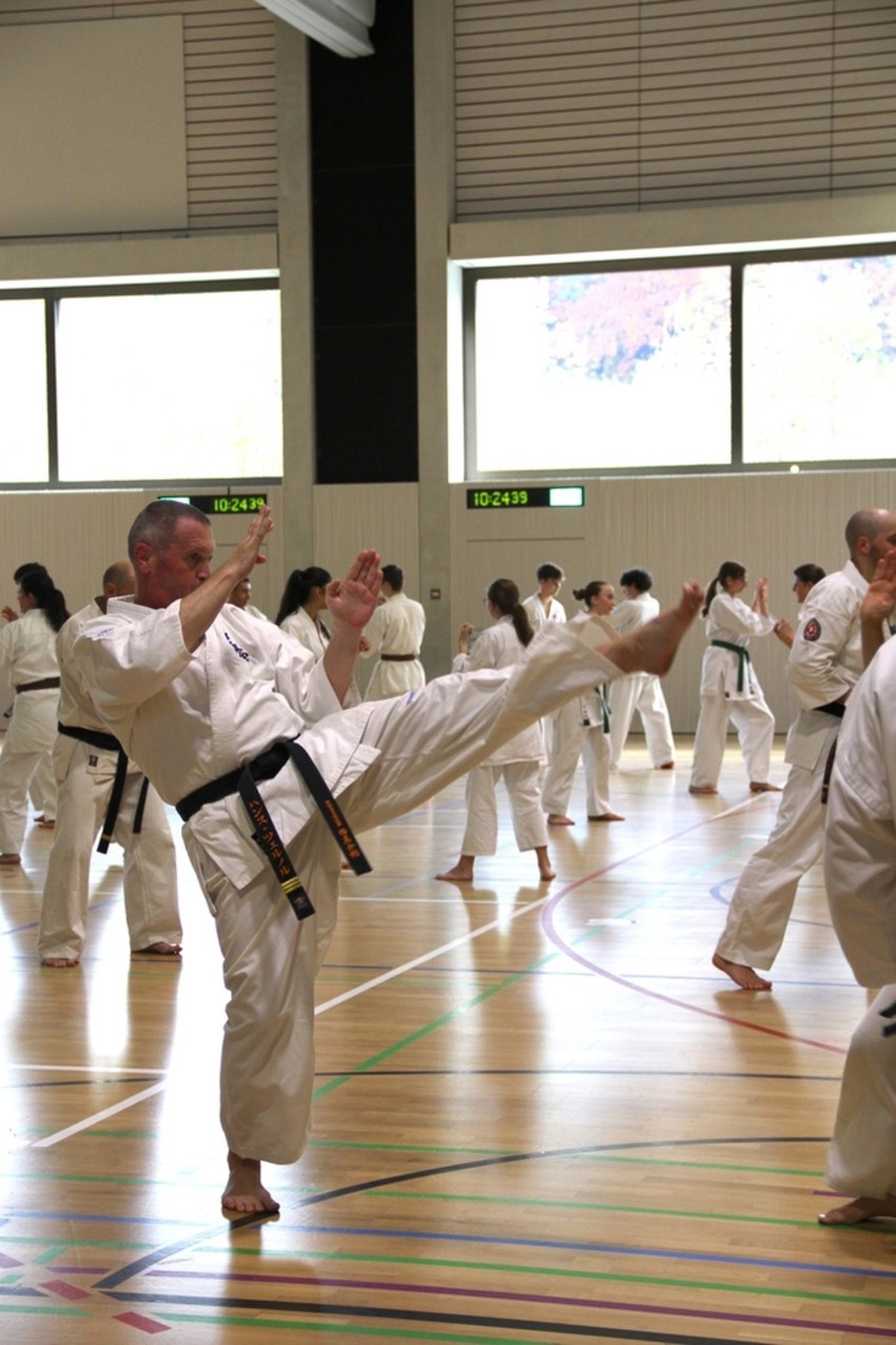 img_3717-40e5dcb0c5ea7881f7be762b4cb85e75