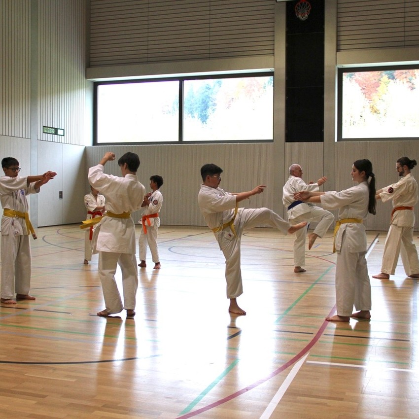 img_3735-4d59a7f0cd89c30332043aa17e8ab1c6