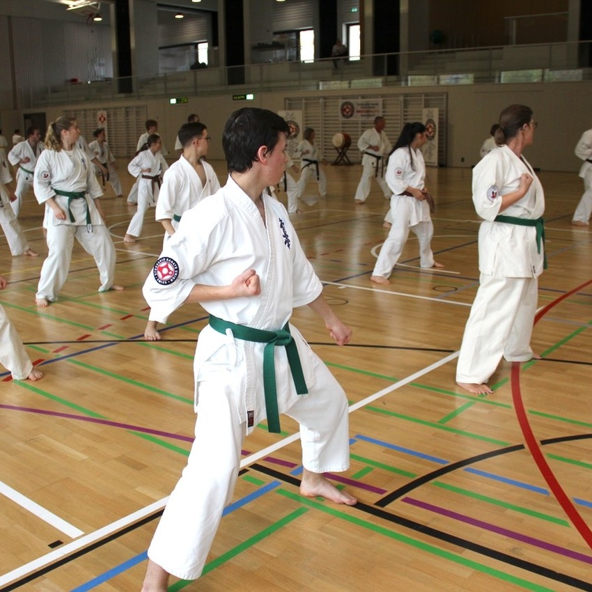 img_3762-7b8387f51ff137d9bd646c066d1cce65