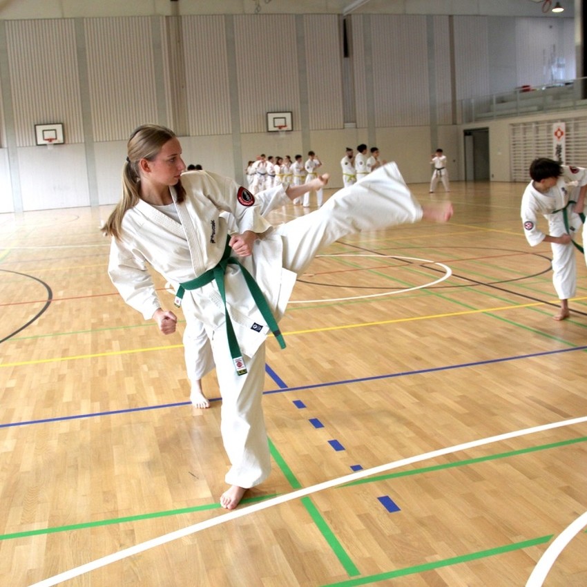 img_3764-d9454856a9eac405036a895a005d4322