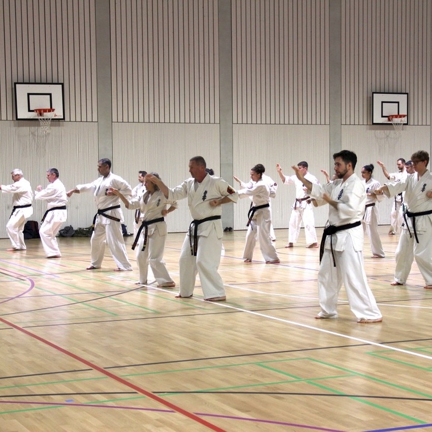 img_3835-03969798b354afaf3426125724fa0241