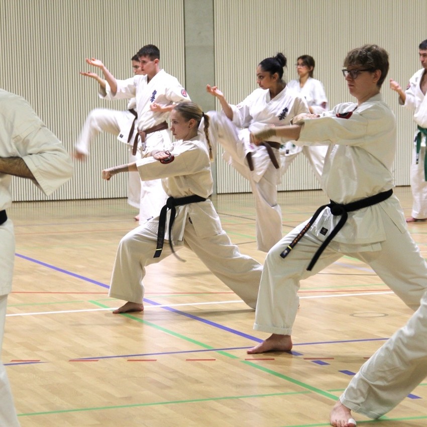 img_3841-bfdd55c8dc703e679b1494eed9b32694