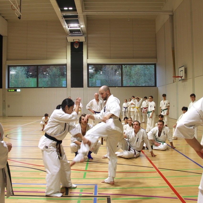 img_3852-efc0bf9d1a4a3e51d7edae81ba745806