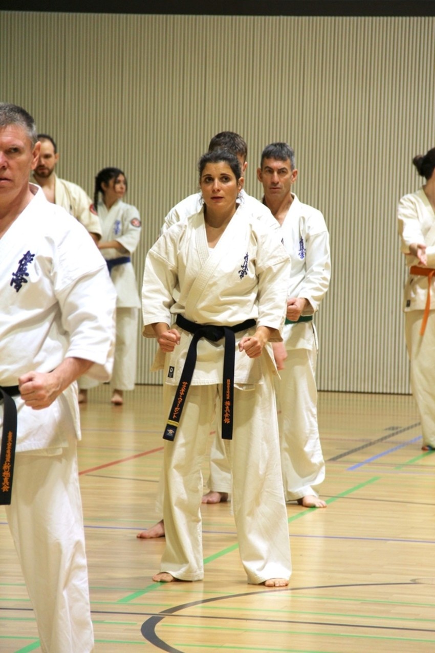 img_3877-d90ad6e9757b5a483d2e5fdbc6ed8381