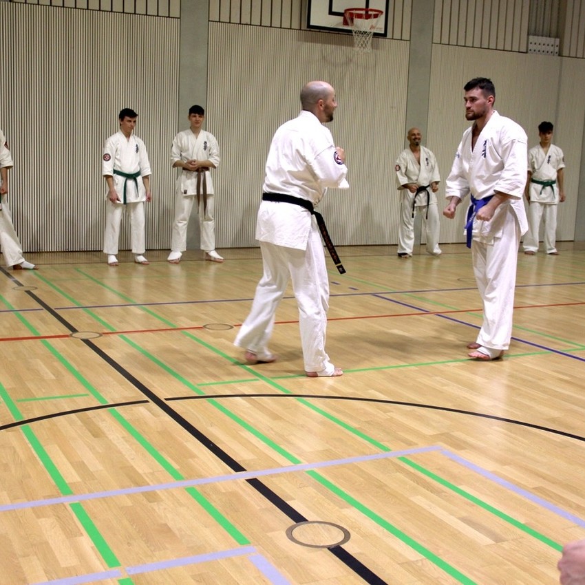 img_3885-611a7c11c7e1ee8fb0d97bbe2d4bade3