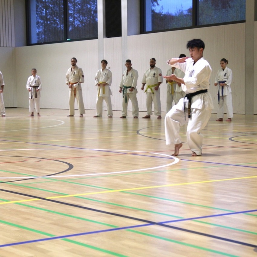 img_3908-3602c25706040649702d9123fff00c54