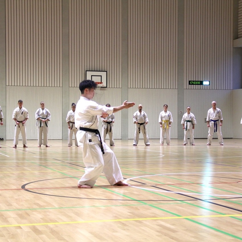 img_3924-7907f646a7944e08420b0c3e528fd21e