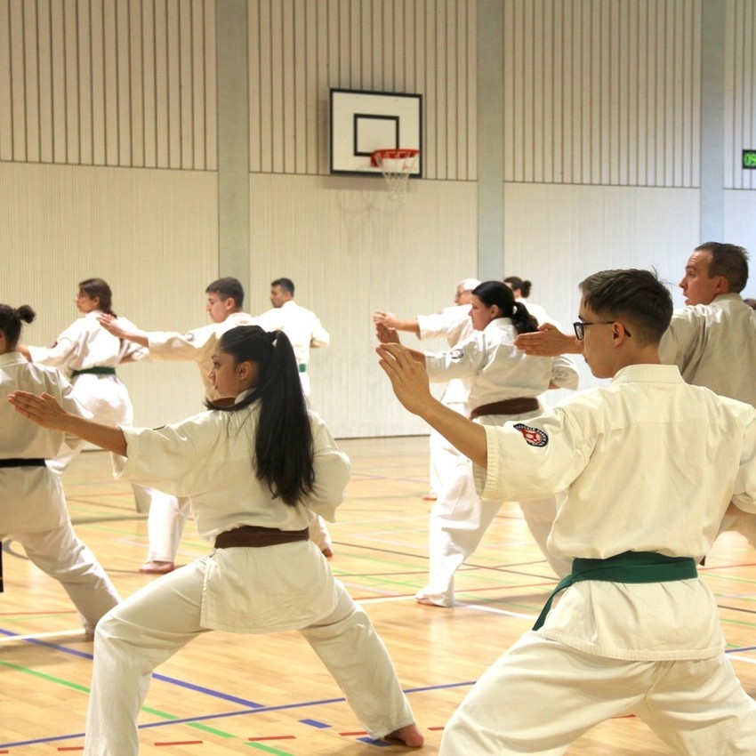 img_3986-7bd3c61194fd9c6871dd0bc28629aca5