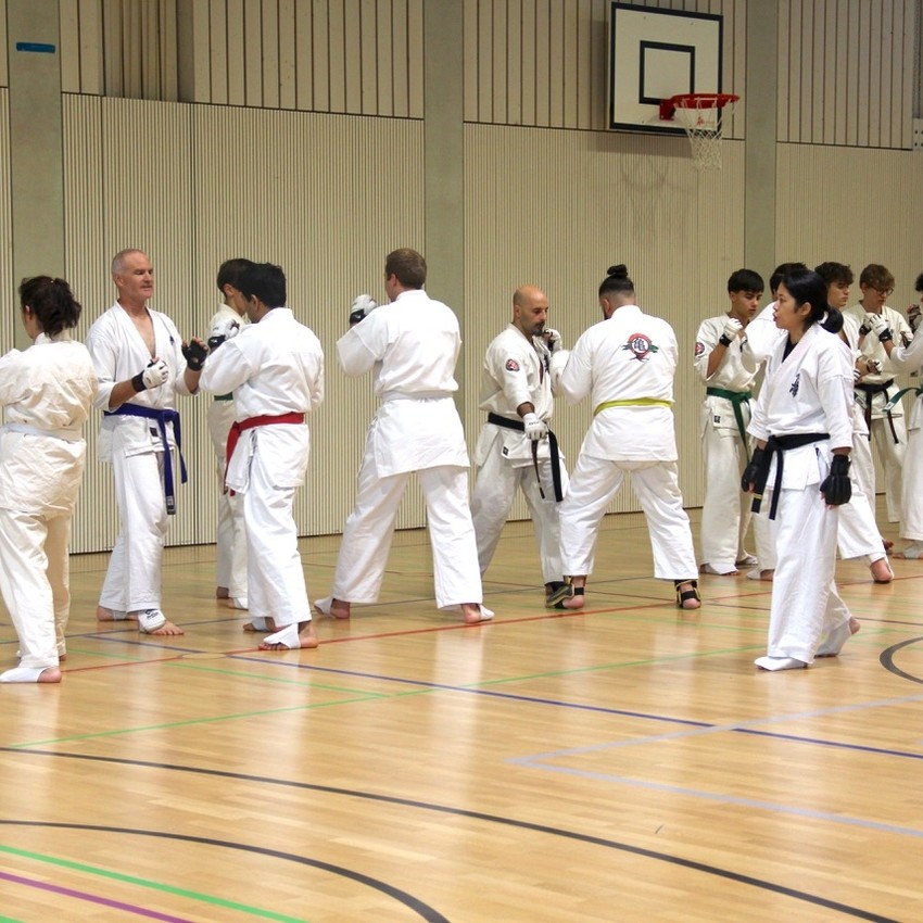 img_3999-dad07d02681dbeb273810a893c105fa9