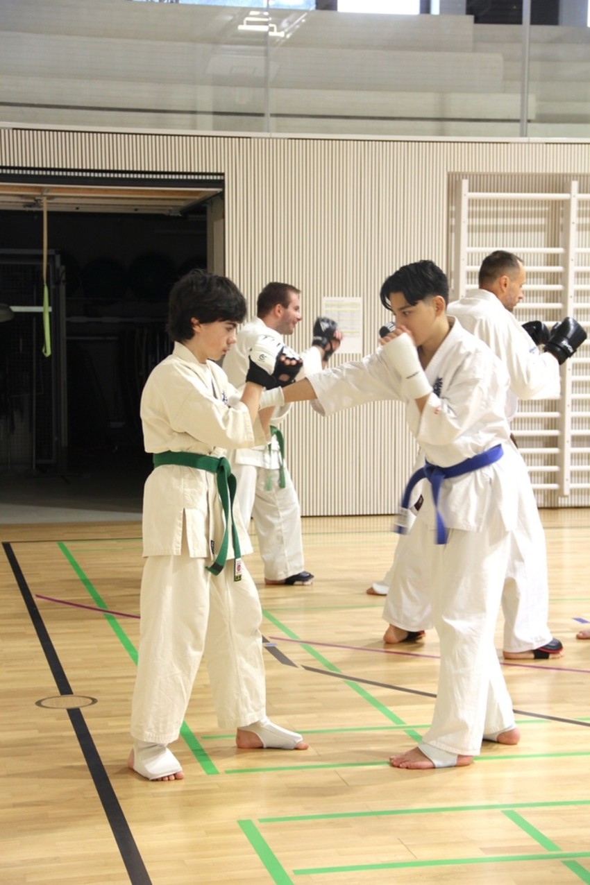 img_4005-0dbfe81527149e3494580faf75626cfe