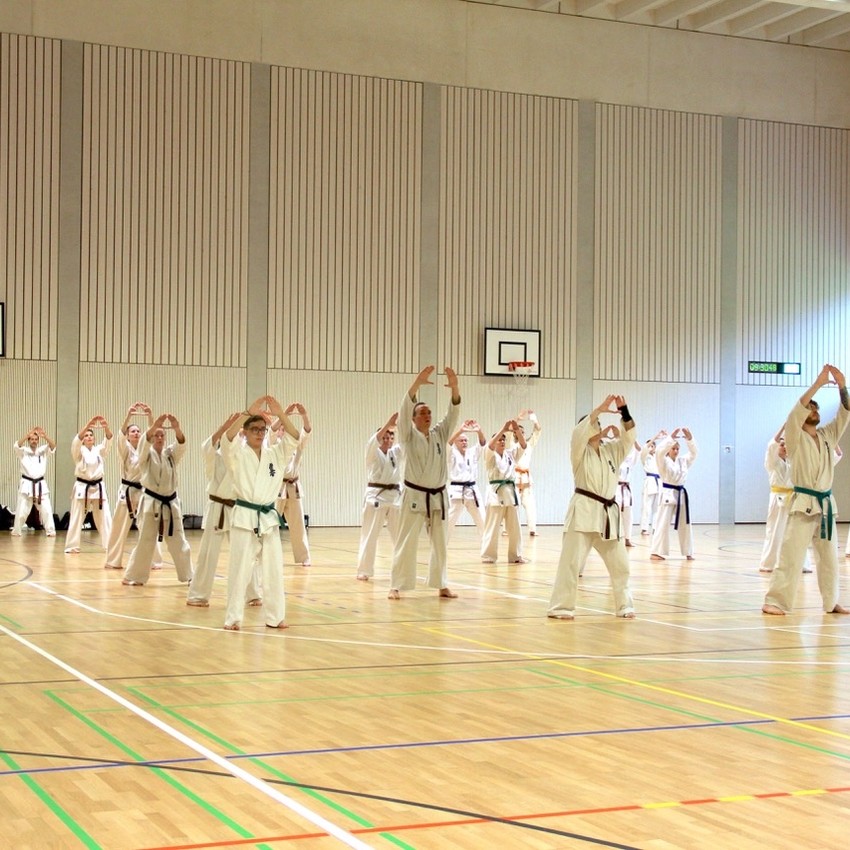 img_4018-4c0b7af100b1966b3039f8b9ee35fccb