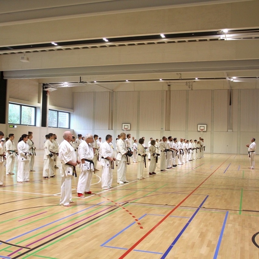 img_4033-91acf6642b64149d3ff5bf3f77ea71f4