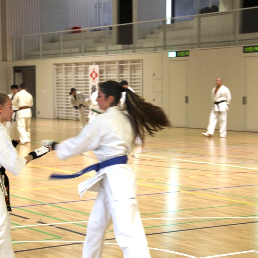 img_4097-465c8af2f2470b8cfe15249ad0bccbac