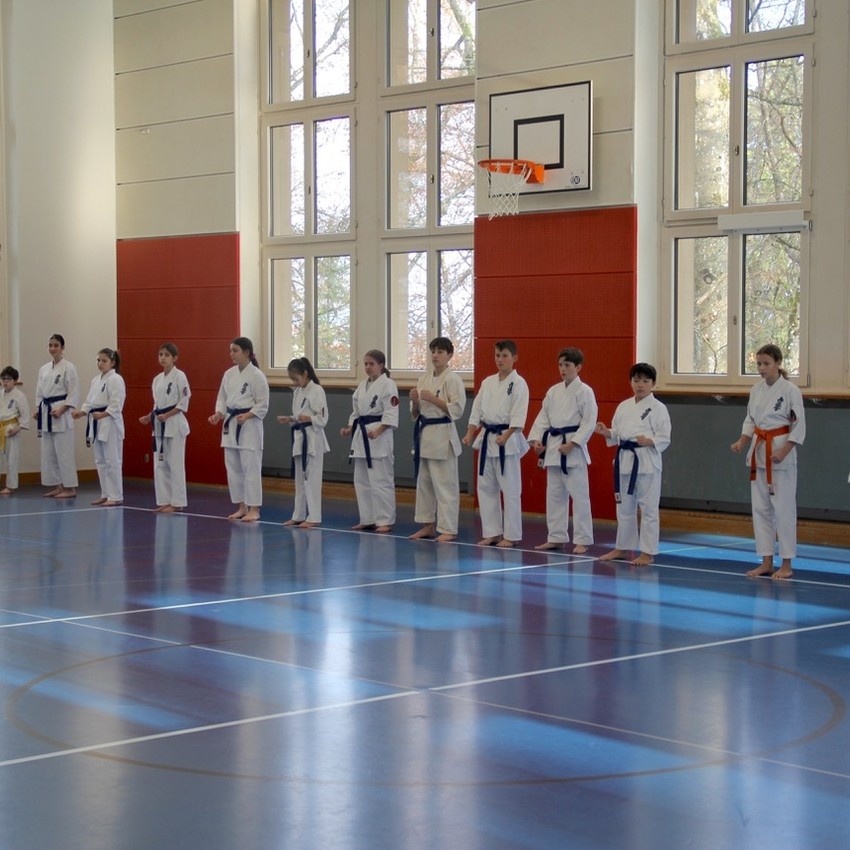 img_4228-9f3dc3d12b871d7f21b7c353f3daf423