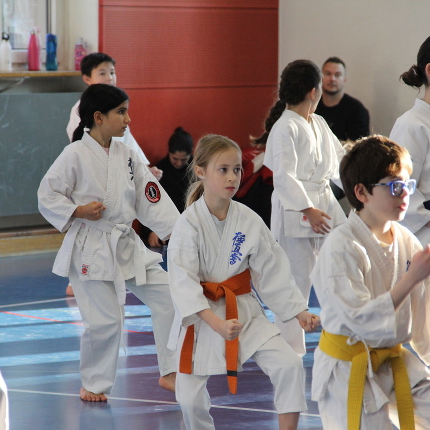 img_4377-8ca63a995ad56876e81e837c59d11a68