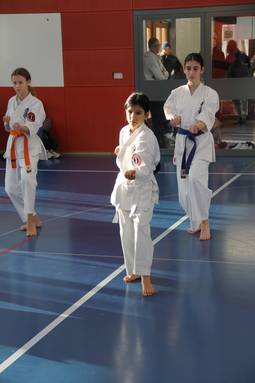 img_4381-b2746dcfd6bfdfd02e2db49ea397715c