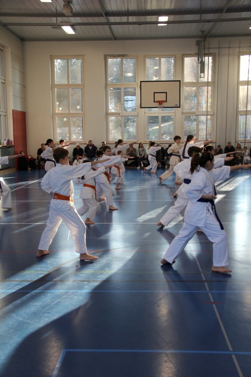 img_4406-505473f1300c8e8baca154c983d825e1