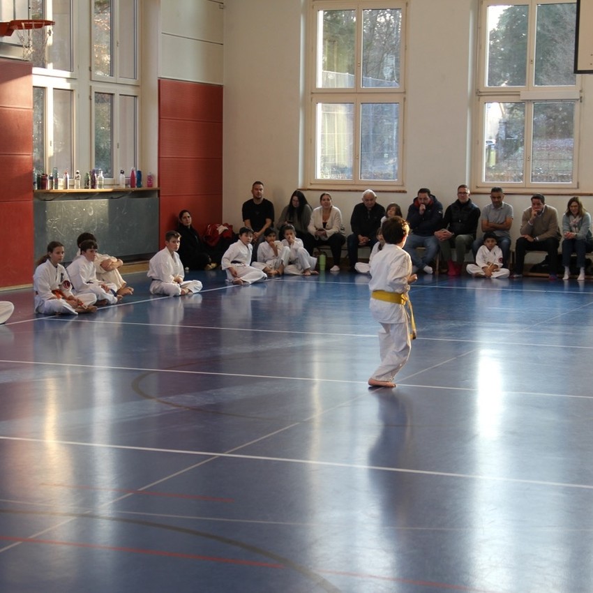 img_4429-39454df23e943514c779b26919191c71