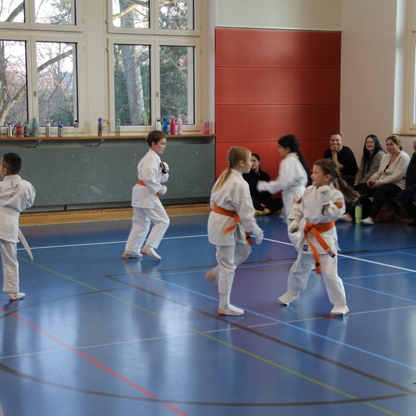 img_4500-fc61e61c0af777fead8e84f3131660d9