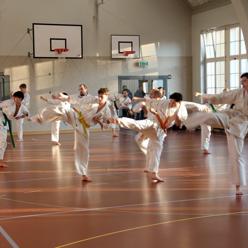 img_4530-faa195463541536bc40d790e3b4669cf