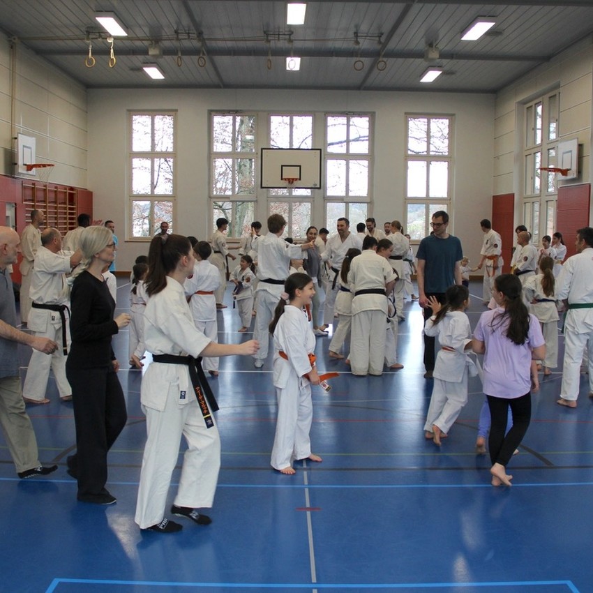 img_4637-786b674d5772f2dd0f5fbf22d4146ff8