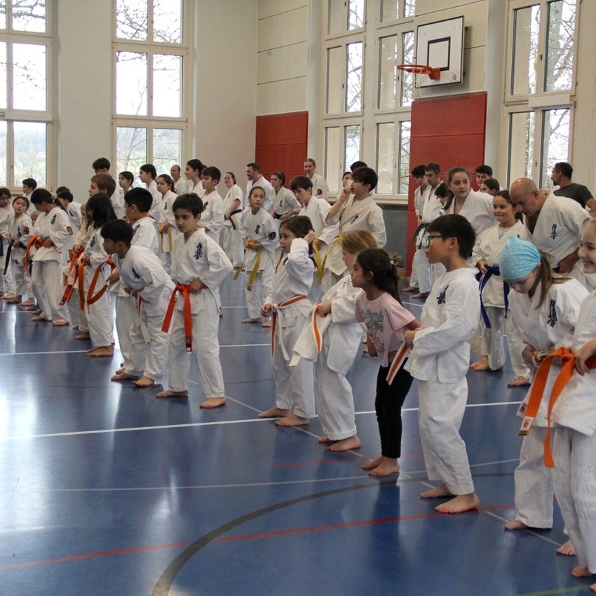 img_4641-feb801fbb567ef51ffe8bde9cbb33ff9