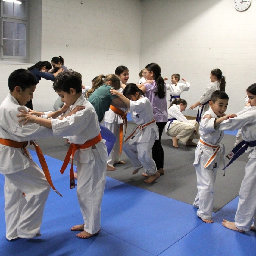 img_4767-320a5d73f3717472680c5b8a1f6a6450