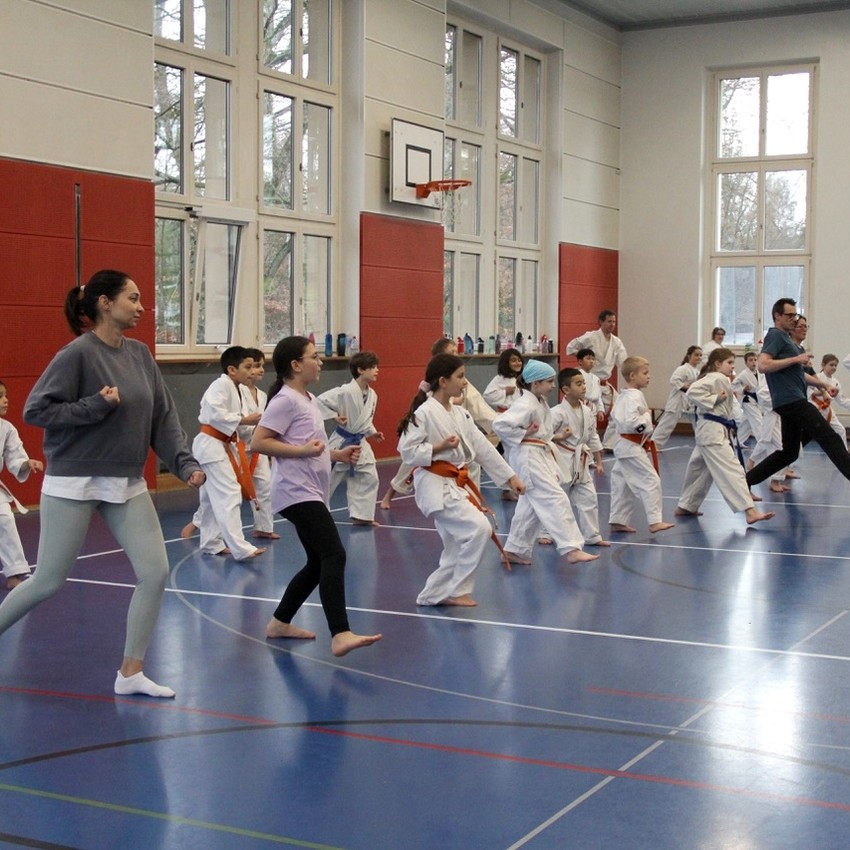 img_4780-02877947c0607bed61acab7d67c13b37