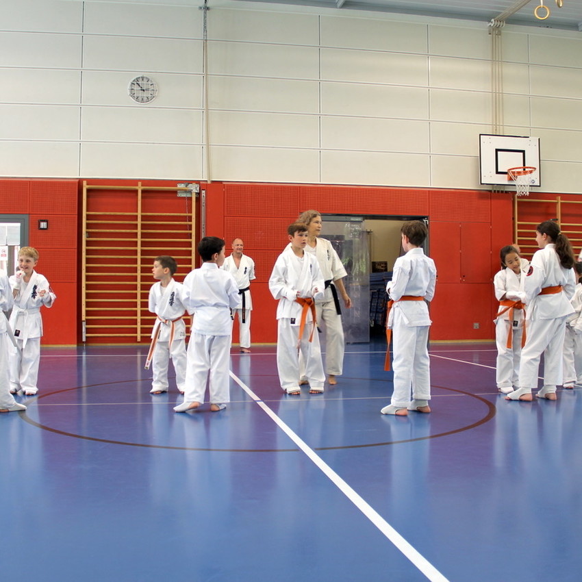 img_4945-49138a5e4c103d4fb29d47ea4a72ad08