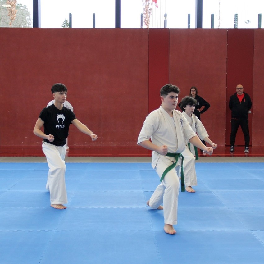 img_5128-bc84190e84e6c0367ae200ec4d3d54d0