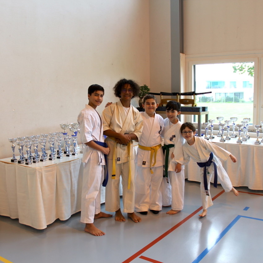 img_5401-74038f49d35349de621713320272af05