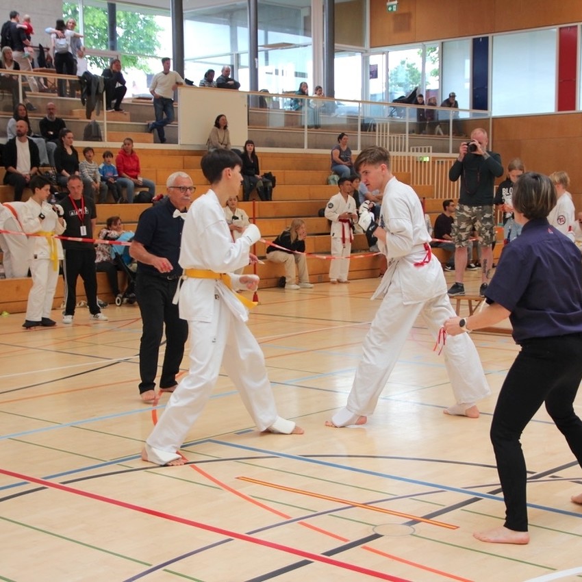 img_5499-bc378e09485f73fae559bb5a9fd4b53a