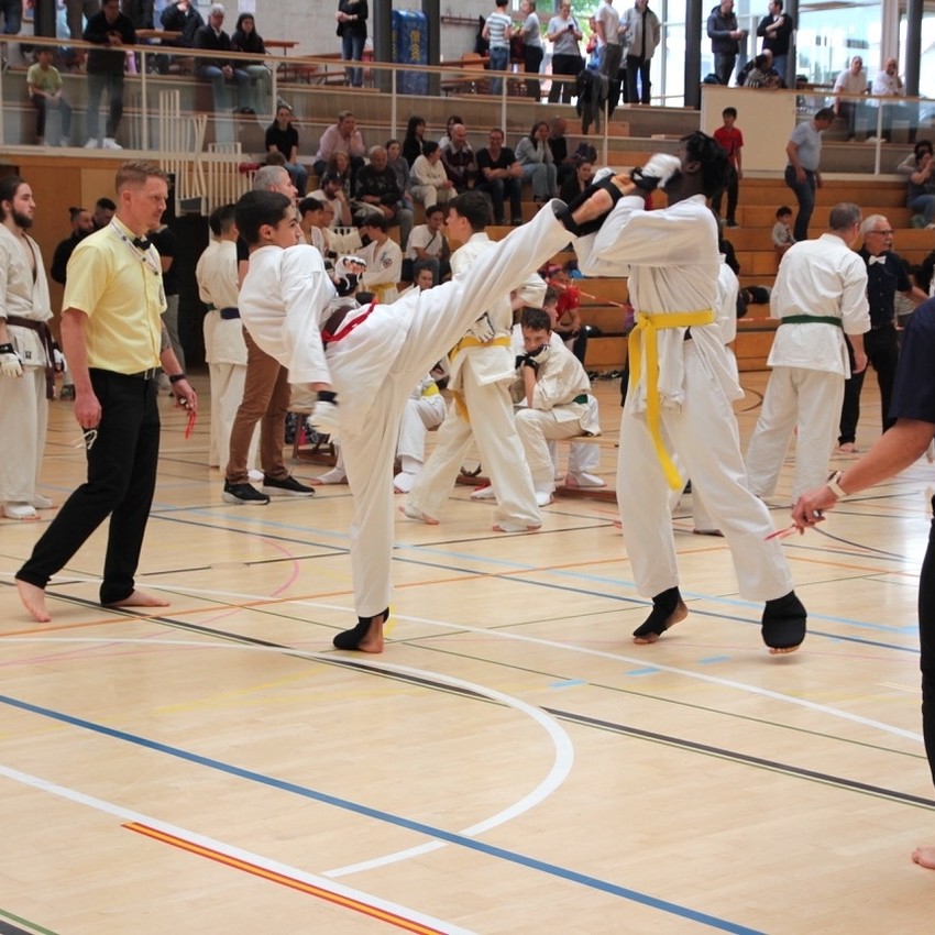 img_5536-f37212e7e4eeb5fff467d02727991a2d