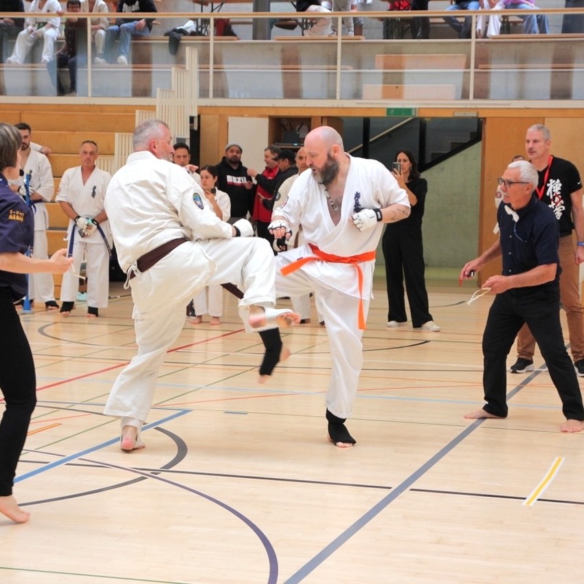 img_5606-7166013aa233e36a823e5818e0320f39