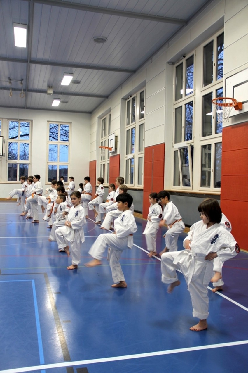 img_5630-fddb7fd62c1a4008f53562accd0d8d56