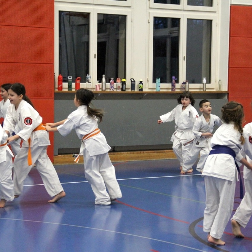 img_5661-41d8dd423e229e341e0e7623277fdd00