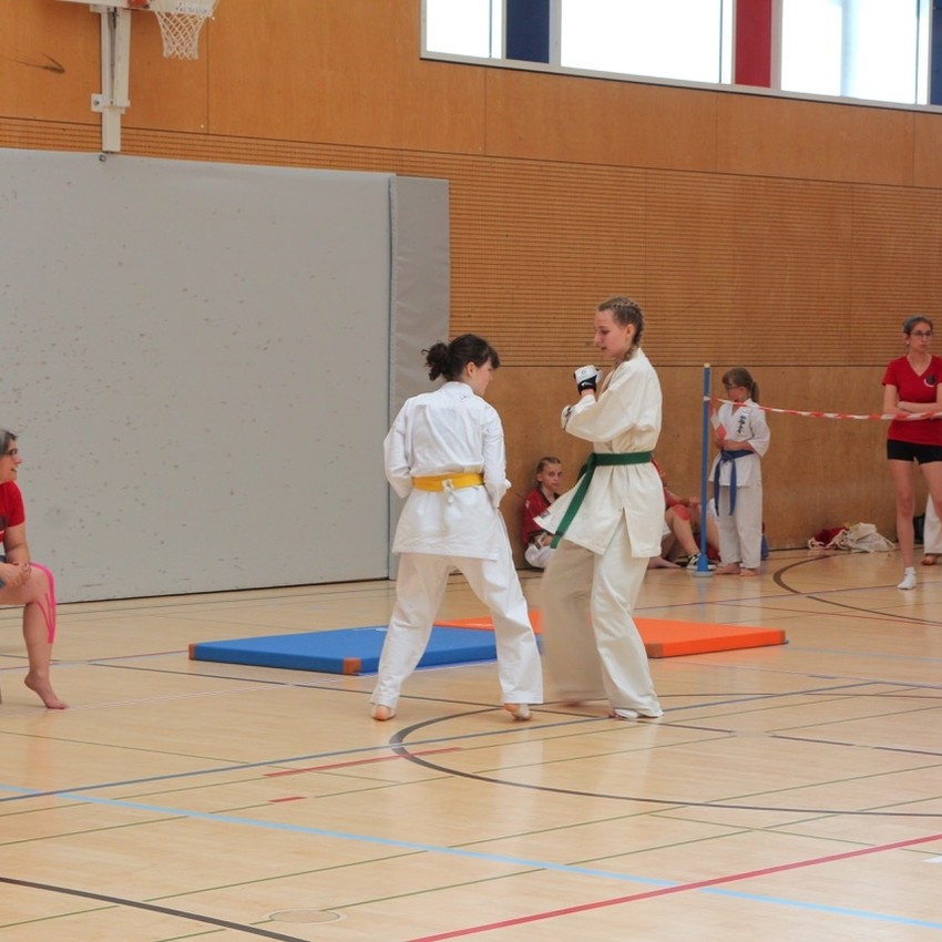 img_5831-ac01ef12bf3a47d778c364f2a57458eb