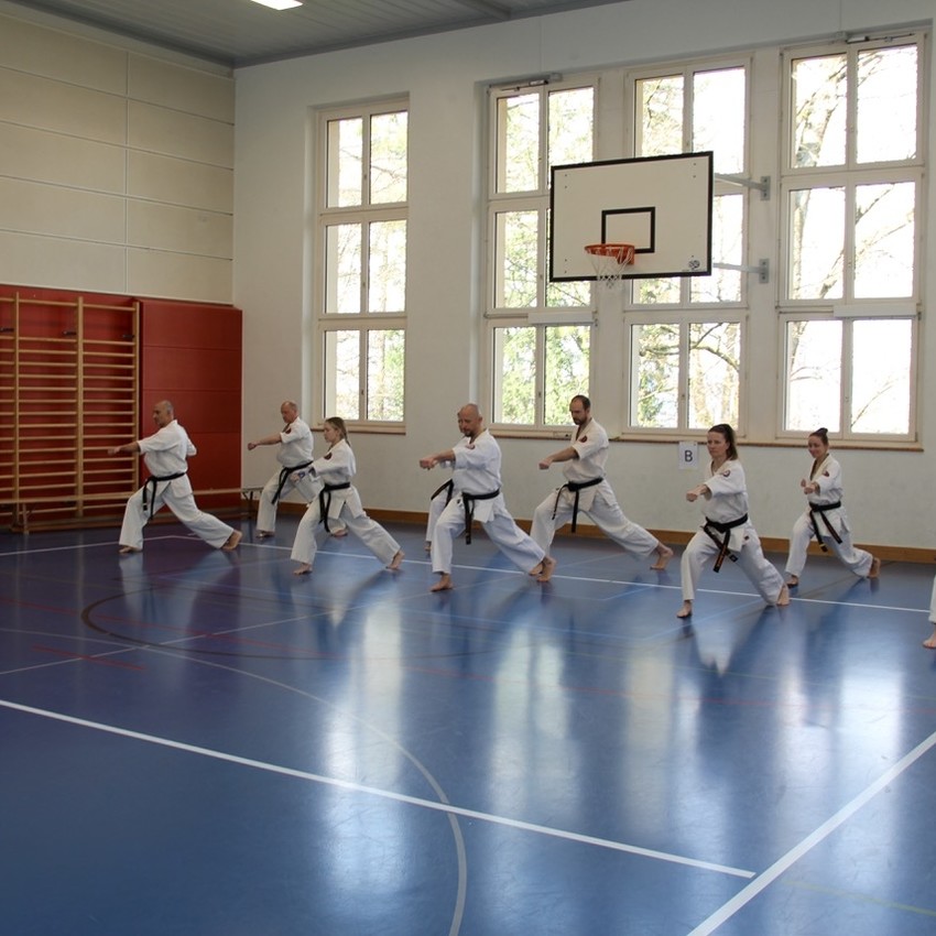 img_5916-bec341eb7d181dbe6f6dc2ed43f7e452