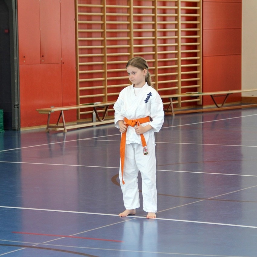 img_5990-50d7b85fb045bf18432bdaad549d4217