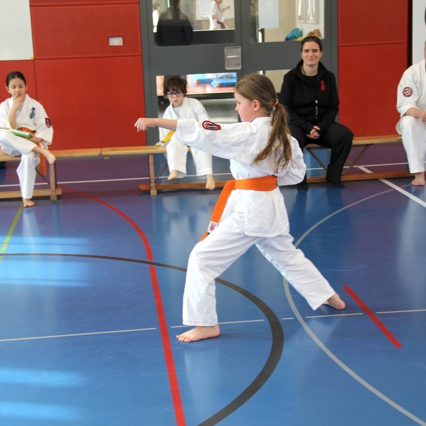 img_5992-4f8fe2e1bdd0318ca4a587cb3bca6555