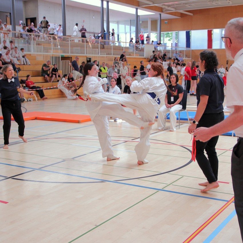 img_6003-47bfac484e9baec5d8190c11cfea42c6