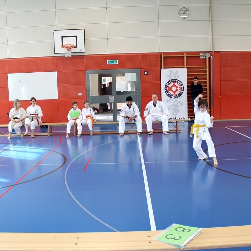 img_6005-3a22778874cadcc266b368ab71f368fd