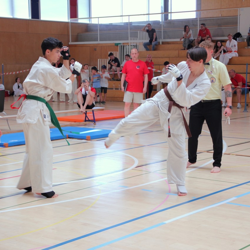 img_6037-57ea8d05cb93e5e2d46f13542f371cac