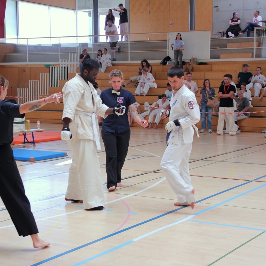 img_6062-23fc5cb4f7a76b239fa9ba1d77d2eb21
