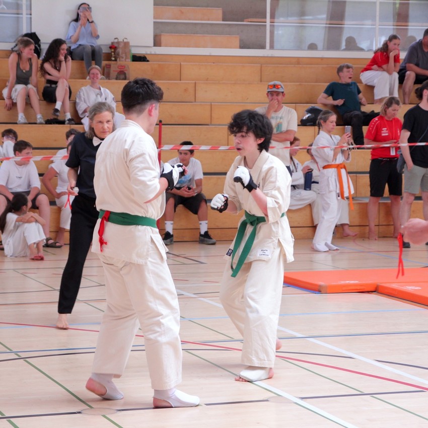 img_6073-5b738189ae62d525c7666880e8b66b26