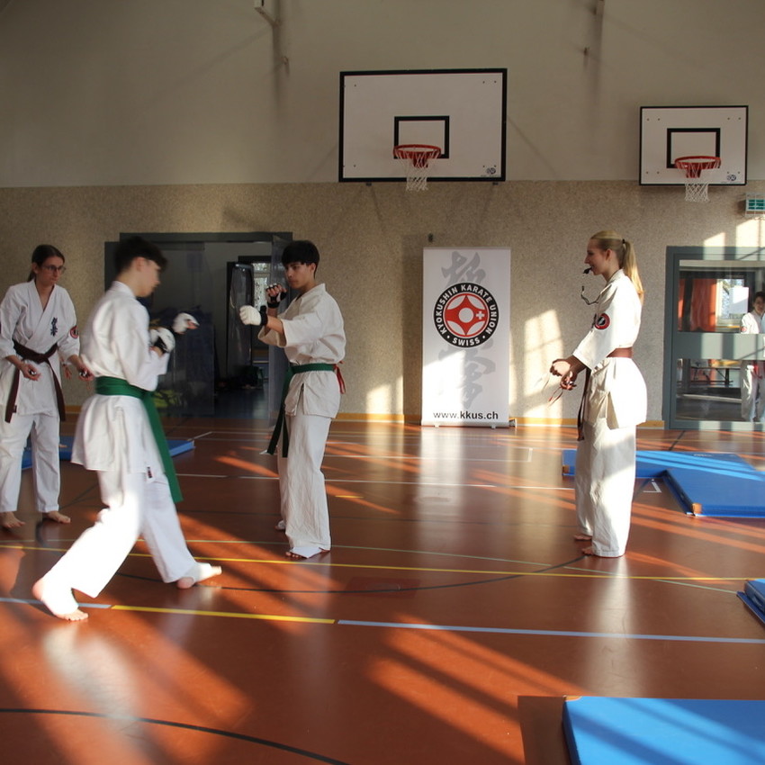 img_6115-62d582d66f8d6985bf21066a2c18c45a