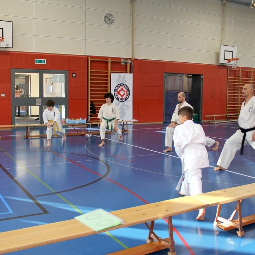 img_6118-ffd51f1d1dd858598dfdab39e45b9fea