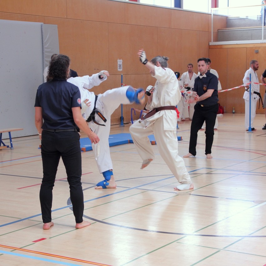 img_6166-35749725e46a29e4cfa626d7aee0c0bf