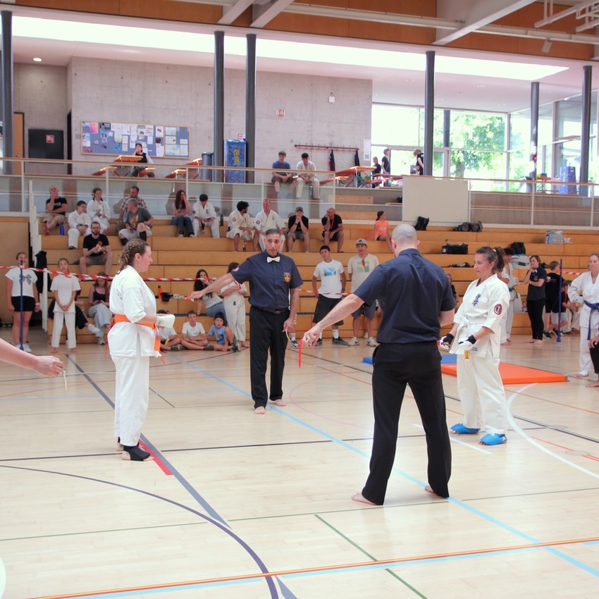 img_6171-09cce615f1a8febff72de4eef43e55a5